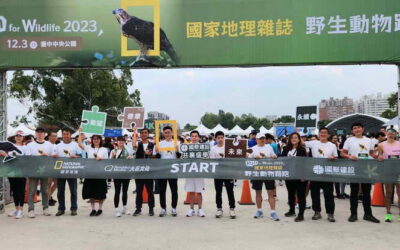 奧運桌球國手莊智淵與6000跑友響應保育 「2023國家地理雜誌野生動物路跑」台中中央公園登場