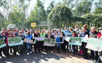 媲美溪頭 彰化溪州公園森林區 投入千萬改善木棧道區