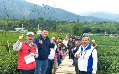 山坪頂茶香步道引爆南投觀光品茶兩點