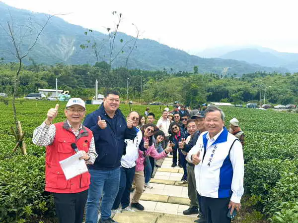 山坪頂茶香步道引爆南投觀光品茶兩點1