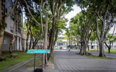 工藝中心「臺灣工藝文化園區」停車場將啟動收費制度