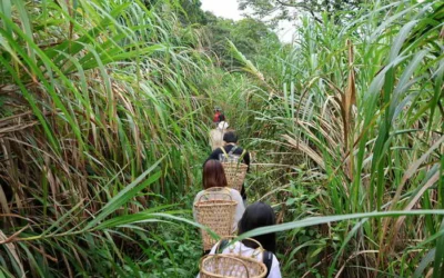 工藝行旅 探索東臺灣的自然與文化工藝