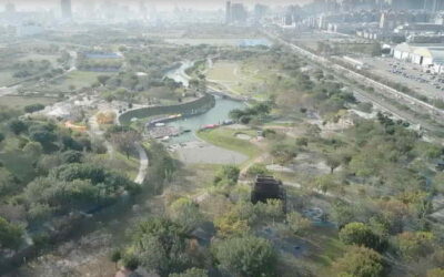 市民眼中的中央公園! 中市「水湳藝術拍拍走」得獎者出爐