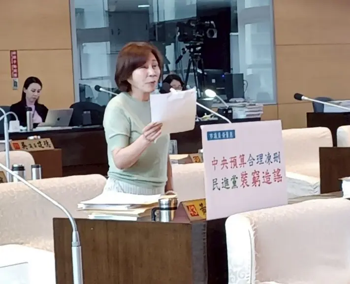 市議員黃馨慧指民代合理凍刪預算 民進黨別再裝窮造謠