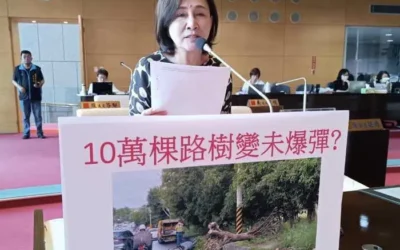 市議員黃馨慧關心路樹倒塌頻傳 全市十萬樹路變不定時未爆彈