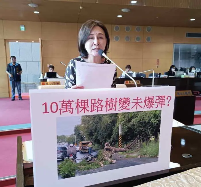 市議員黃馨慧關心路樹倒塌頻傳 全市十萬樹路變不定時未爆彈