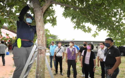彰化縣正式啟動景觀樹木修剪技術認證考照 提升園藝專業水平