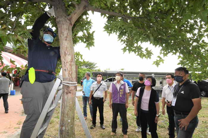 彰化縣正式啟動景觀樹木修剪技術認證考照 提升園藝專業水平1