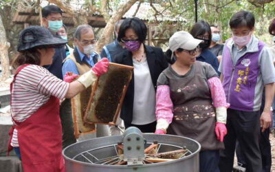 彰化縣為辦理蜂群(蜜源缺乏)113年1-3月高溫(遲發性)農業天然災害現金救助及低利貸款地區