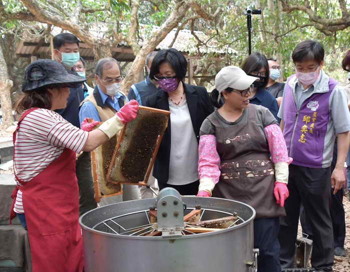 彰化縣為辦理蜂群1