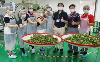 從食安出發 拓展茶文化 大葉大學深耕茶產業人才培育