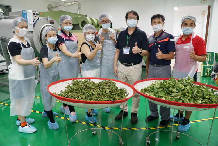 從食安出發 拓展茶文化 大葉大學深耕茶產業人才培育1
