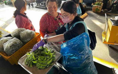 擴大源頭管制 農曆年前加強蔬果農藥殘留抽驗 確保消費者食品安全