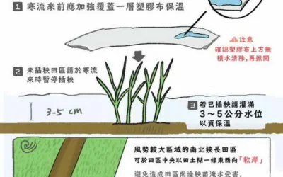 時令大寒 請農友採取防寒措施及注意保暖