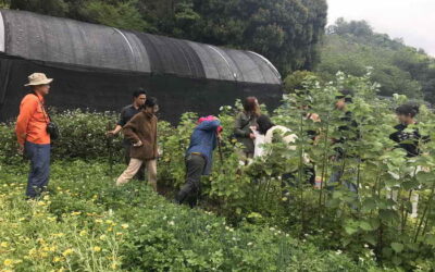 林業保育署南投分署舉辦社區林業研習推動里山倡議與國土綠網連結