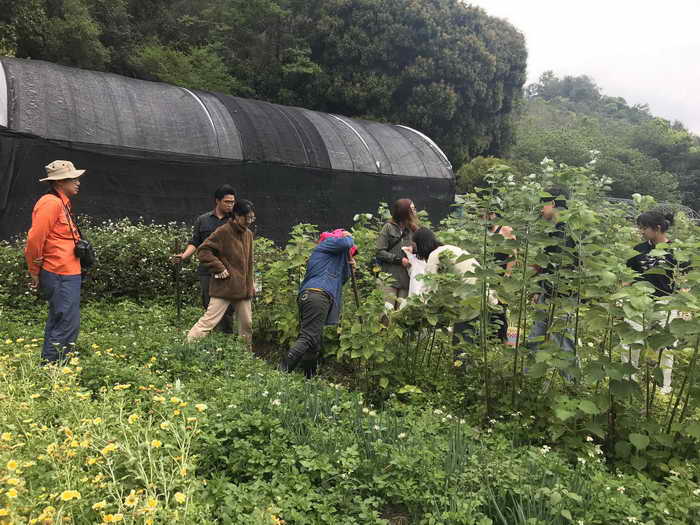 林業保育署南投分署舉辦社區林業研習推動里山倡議與國土綠網連結1