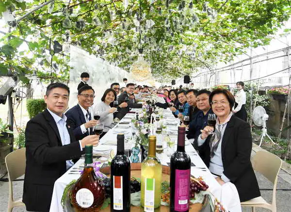 果香微醺的法式饗宴 葡萄樹下品美酒美食1