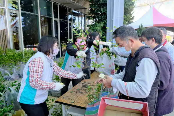 植樹節種綠意1