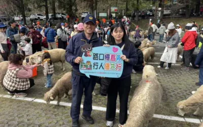 清境奔羊節,仁愛警加強交通宣導