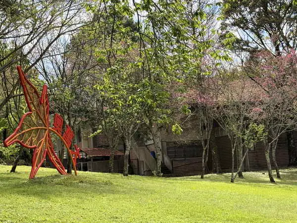 清明兒童節連續假期 兒童免費暢遊奧萬大 成人全部半票入園1