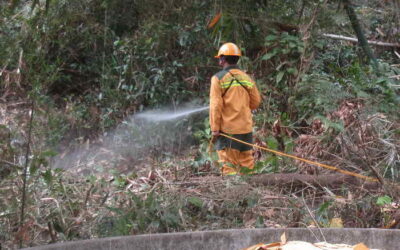 清明連假林業保育人員加強巡視 防範森林火災