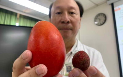男大生睪丸變大 一就醫竟是睪丸癌