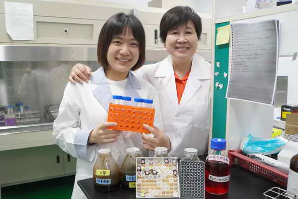 研究小花蔓澤蘭皮膚保養應用 大葉大學藥保系張瑞瑜錄取多家碩士班2