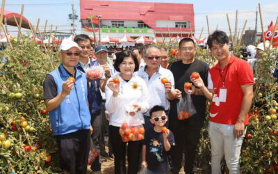 第一屆小紅牛「喜番生活節」登場 張麗善縣長邀民眾品味牛番茄吃在地、食當季