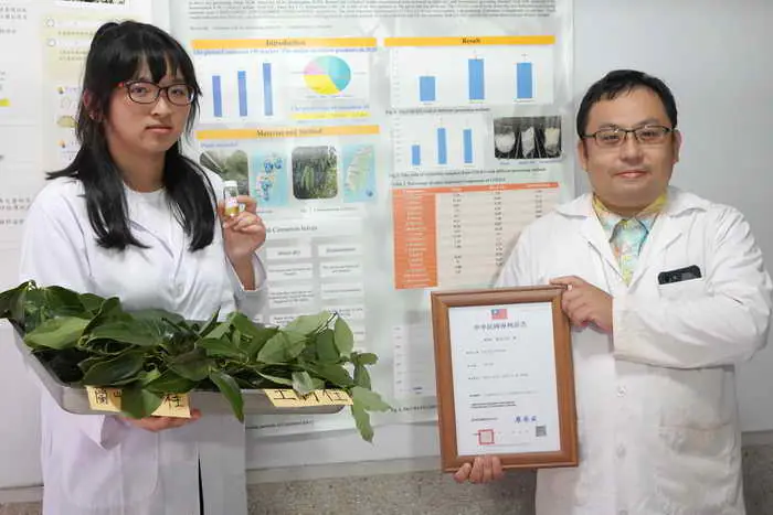 結合製茶方式萃取肉桂精油 大葉大學藥保系獲新型專利1