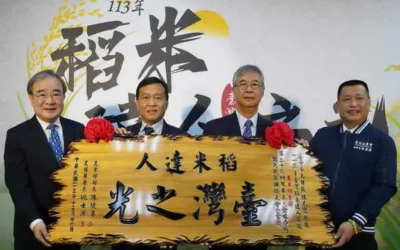 臺中烏日林凡閔稻農摘金 臺灣米揚威國際舞台