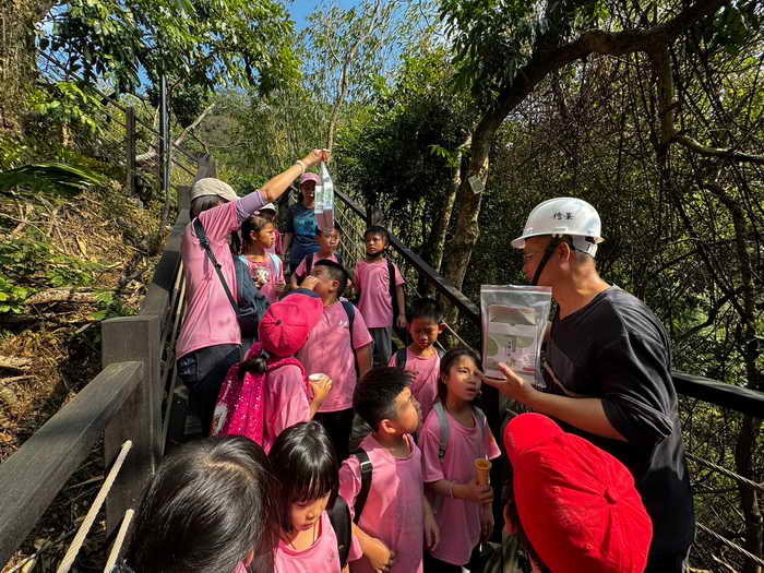 荔枝椿象現蹤大坑步道 中市府觀旅局釋放平腹小蜂防治