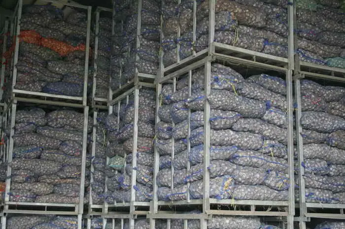 請農民配合大蒜種植登記 保障權利確保收益1