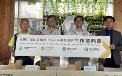 跨域合作!!四機關共同推廣中部地區眉原山品系臺灣山茶