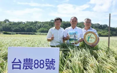 農業試驗所「水稻新品種台農88號栽培管理示範觀摩暨記者會」