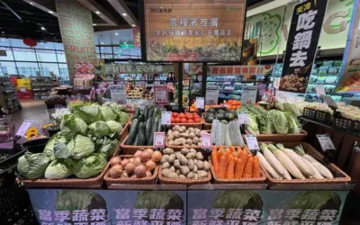 農業部攜手量販通路推出國產蔬果平價優惠專區 共享美味與營養