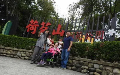 雲林古坑桐花經一場雨後已經掉落滿地然而依然是健走森林浴之好去處