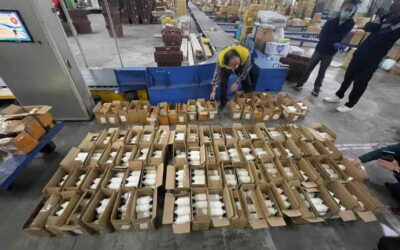 雲林地檢署偵結自大陸地區違法輸入禽流感疫苗案件依法提起公訴