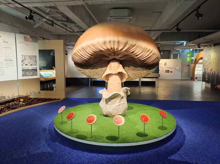 養菇精銳盡在臺中1