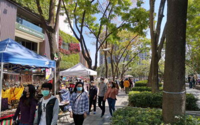 龍年開春人氣旺 中市各大景點共湧入351萬人次