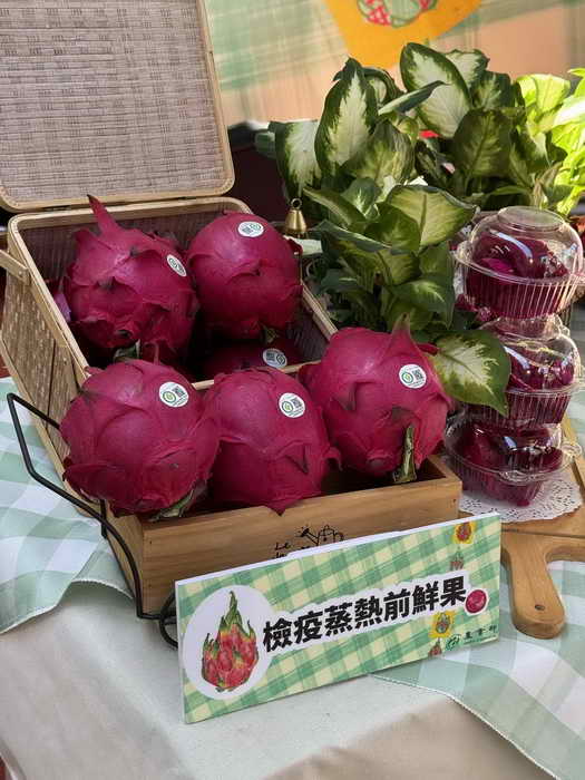 龍重登場 夏之饗火龍果 紅白果肉攏好呷1